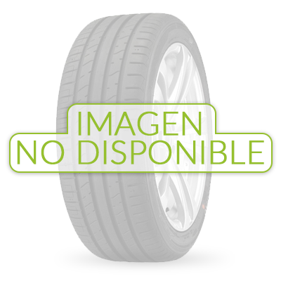 Neumático